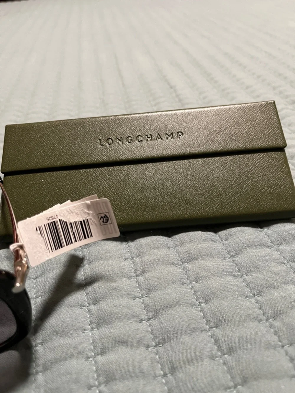New Longchamp Women's Gradient Oversized Sunglasses